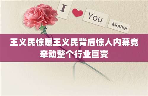 王义民惊曝王义民背后惊人内幕竟牵动整个行业巨变
