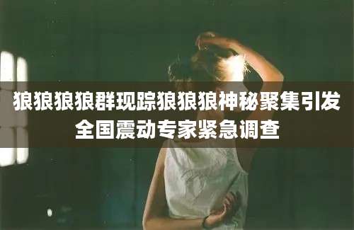 狼狼狼狼群现踪狼狼狼神秘聚集引发全国震动专家紧急调查