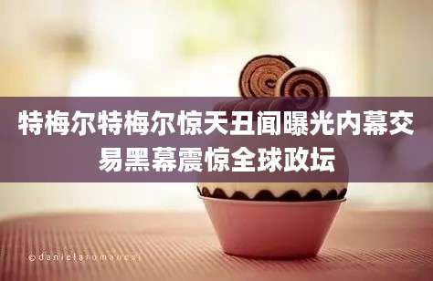 特梅尔特梅尔惊天丑闻曝光内幕交易黑幕震惊全球政坛