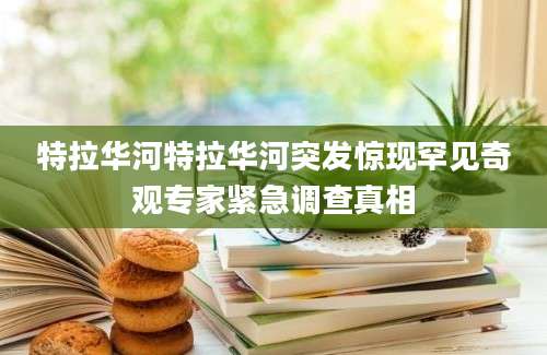 特拉华河特拉华河突发惊现罕见奇观专家紧急调查真相