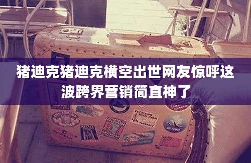 猪迪克猪迪克横空出世网友惊呼这波跨界营销简直神了