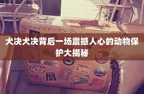 犬决犬决背后一场震撼人心的动物保护大揭秘