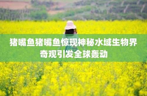 猪嘴鱼猪嘴鱼惊现神秘水域生物界奇观引发全球轰动