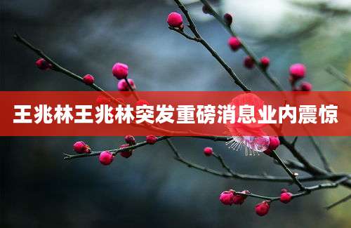王兆林王兆林突发重磅消息业内震惊