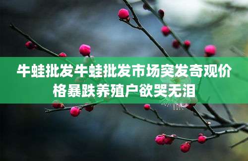 牛蛙批发牛蛙批发市场突发奇观价格暴跌养殖户欲哭无泪
