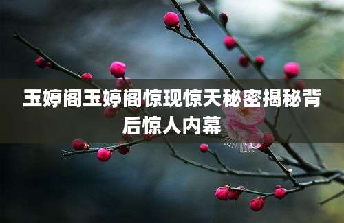 玉婷阁玉婷阁惊现惊天秘密揭秘背后惊人内幕