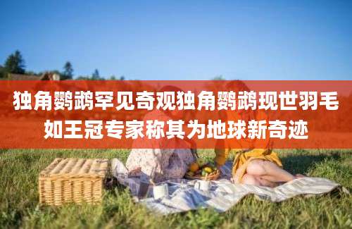 独角鹦鹉罕见奇观独角鹦鹉现世羽毛如王冠专家称其为地球新奇迹