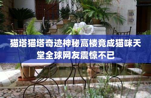 猫塔猫塔奇迹神秘高楼竟成猫咪天堂全球网友震惊不已