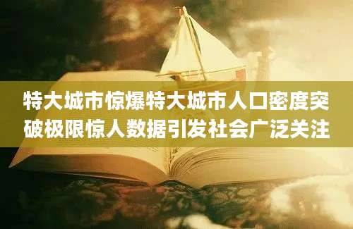 特大城市惊爆特大城市人口密度突破极限惊人数据引发社会广泛关注
