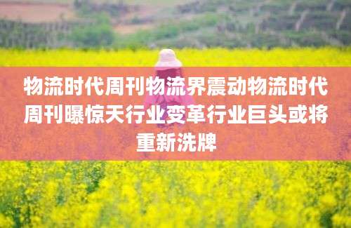 物流时代周刊物流界震动物流时代周刊曝惊天行业变革行业巨头或将重新洗牌