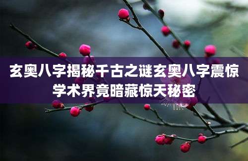玄奥八字揭秘千古之谜玄奥八字震惊学术界竟暗藏惊天秘密
