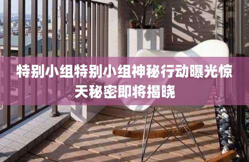 特别小组特别小组神秘行动曝光惊天秘密即将揭晓