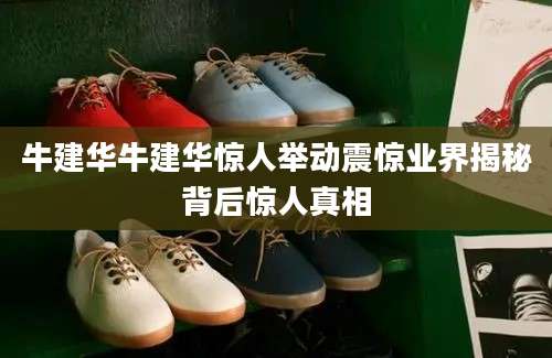 牛建华牛建华惊人举动震惊业界揭秘背后惊人真相
