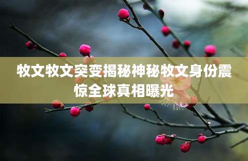 牧文牧文突变揭秘神秘牧文身份震惊全球真相曝光