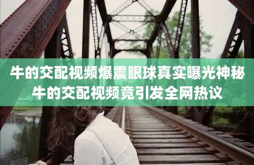 牛的交配视频爆震眼球真实曝光神秘牛的交配视频竟引发全网热议