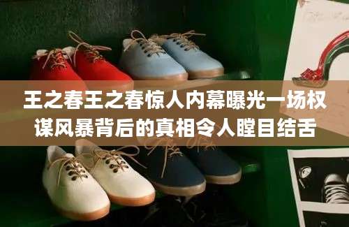 王之春王之春惊人内幕曝光一场权谋风暴背后的真相令人瞠目结舌