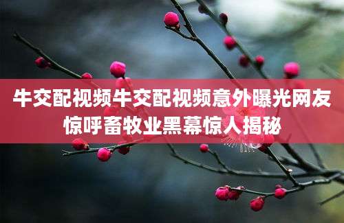 牛交配视频牛交配视频意外曝光网友惊呼畜牧业黑幕惊人揭秘
