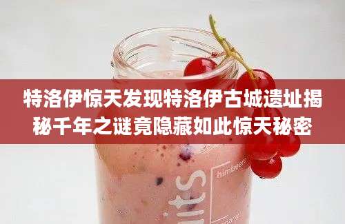 特洛伊惊天发现特洛伊古城遗址揭秘千年之谜竟隐藏如此惊天秘密