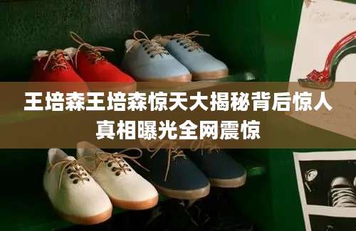 王培森王培森惊天大揭秘背后惊人真相曝光全网震惊