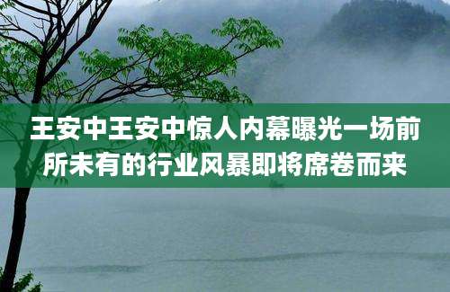 王安中王安中惊人内幕曝光一场前所未有的行业风暴即将席卷而来