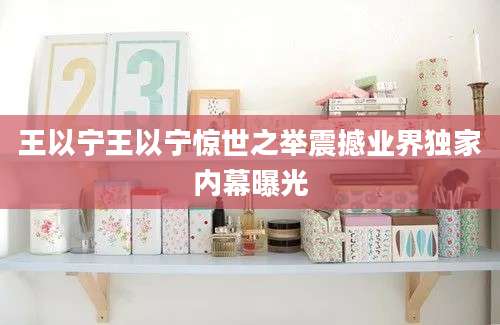 王以宁王以宁惊世之举震撼业界独家内幕曝光