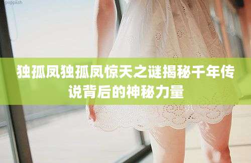独孤凤独孤凤惊天之谜揭秘千年传说背后的神秘力量