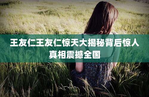 王友仁王友仁惊天大揭秘背后惊人真相震撼全国