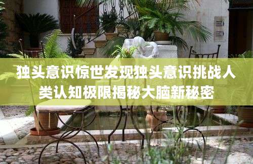 独头意识惊世发现独头意识挑战人类认知极限揭秘大脑新秘密