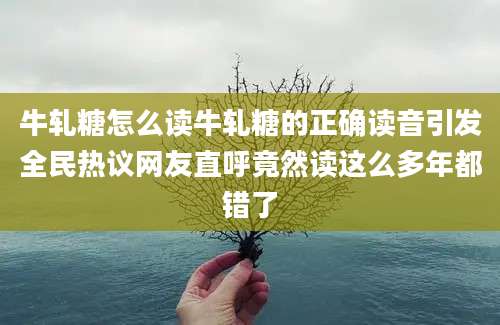 牛轧糖怎么读牛轧糖的正确读音引发全民热议网友直呼竟然读这么多年都错了