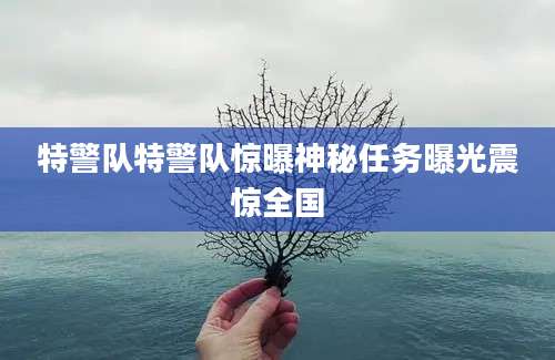 特警队特警队惊曝神秘任务曝光震惊全国