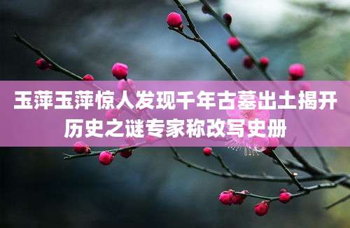 玉萍玉萍惊人发现千年古墓出土揭开历史之谜专家称改写史册