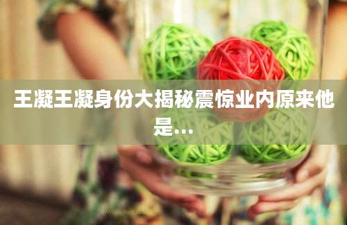 王凝王凝身份大揭秘震惊业内原来他是...