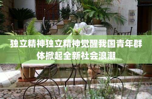 独立精神独立精神觉醒我国青年群体掀起全新社会浪潮