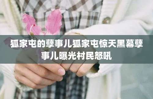 狐家屯的孽事儿狐家屯惊天黑幕孽事儿曝光村民怒吼