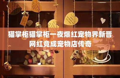 猫掌柜猫掌柜一夜爆红宠物界新晋网红竟成宠物店传奇