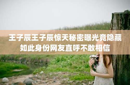 王子辰王子辰惊天秘密曝光竟隐藏如此身份网友直呼不敢相信