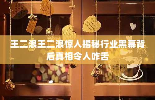 王二浪王二浪惊人揭秘行业黑幕背后真相令人咋舌