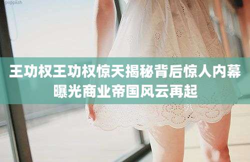 王功权王功权惊天揭秘背后惊人内幕曝光商业帝国风云再起