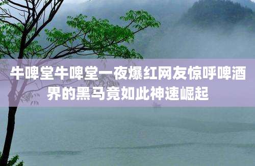 牛啤堂牛啤堂一夜爆红网友惊呼啤酒界的黑马竟如此神速崛起