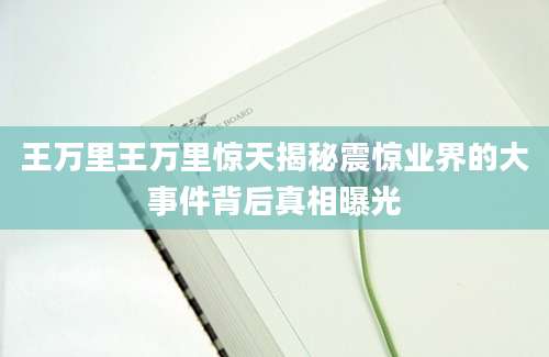 王万里王万里惊天揭秘震惊业界的大事件背后真相曝光