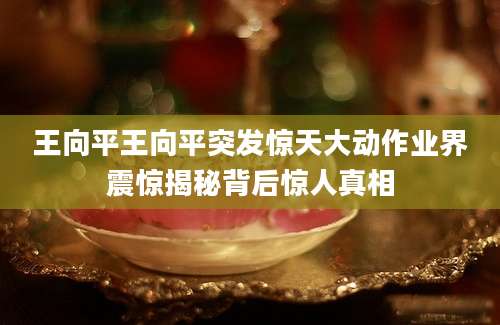 王向平王向平突发惊天大动作业界震惊揭秘背后惊人真相
