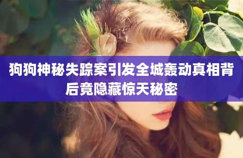 狗狗神秘失踪案引发全城轰动真相背后竟隐藏惊天秘密