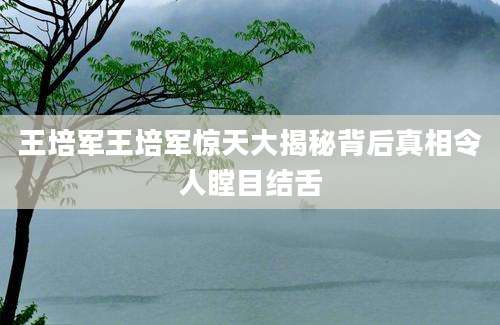 王培军王培军惊天大揭秘背后真相令人瞠目结舌