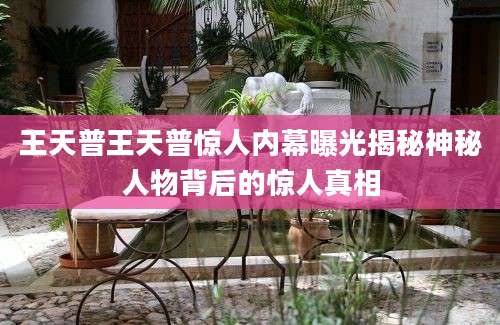 王天普王天普惊人内幕曝光揭秘神秘人物背后的惊人真相