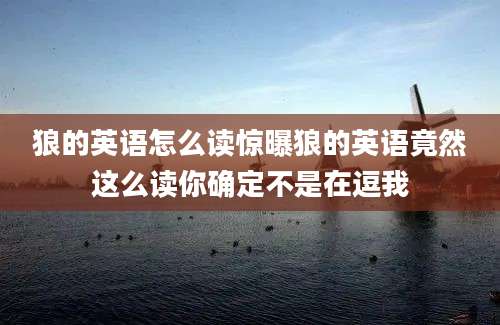 狼的英语怎么读惊曝狼的英语竟然这么读你确定不是在逗我