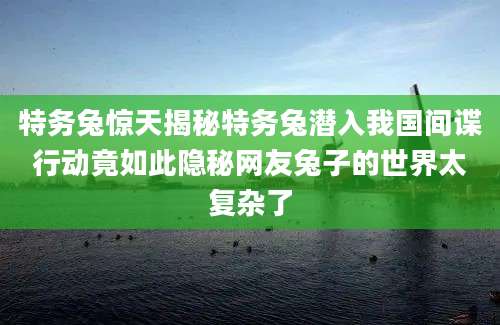 特务兔惊天揭秘特务兔潜入我国间谍行动竟如此隐秘网友兔子的世界太复杂了