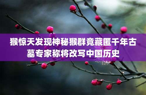猴惊天发现神秘猴群竟藏匿千年古墓专家称将改写中国历史