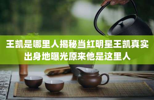 王凯是哪里人揭秘当红明星王凯真实出身地曝光原来他是这里人