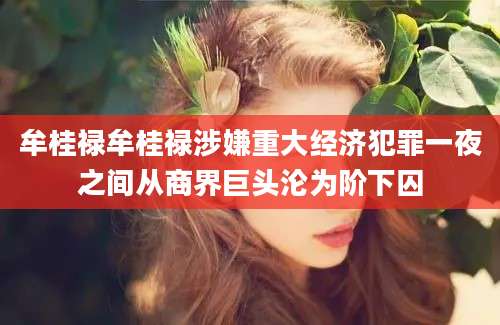 牟桂禄牟桂禄涉嫌重大经济犯罪一夜之间从商界巨头沦为阶下囚