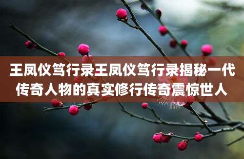 王凤仪笃行录王凤仪笃行录揭秘一代传奇人物的真实修行传奇震惊世人